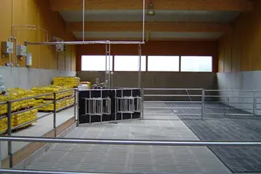  Stallreinigung/Desinfektion nach jeder Kälbereinstellperiode Stallreinigung/Desinfektion nach jeder Kälbereinstellperiode
