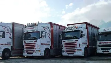 Schwaninger Vieh Export LKW