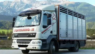 Schwaninger Vieh Export LKW