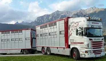Schwaninger Vieh Export LKW