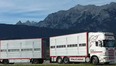 Schwaninger Vieh Export LKW