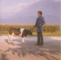 Mann mit Kuh Mann mit Kuh